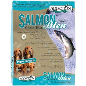 Salmon Bleu Puppy