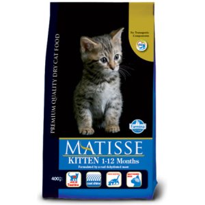 Matisse_Kitten_fb8a7104-a8c6-4b57-a341-cc0dc5c2d55f_grande.jpg Kitten